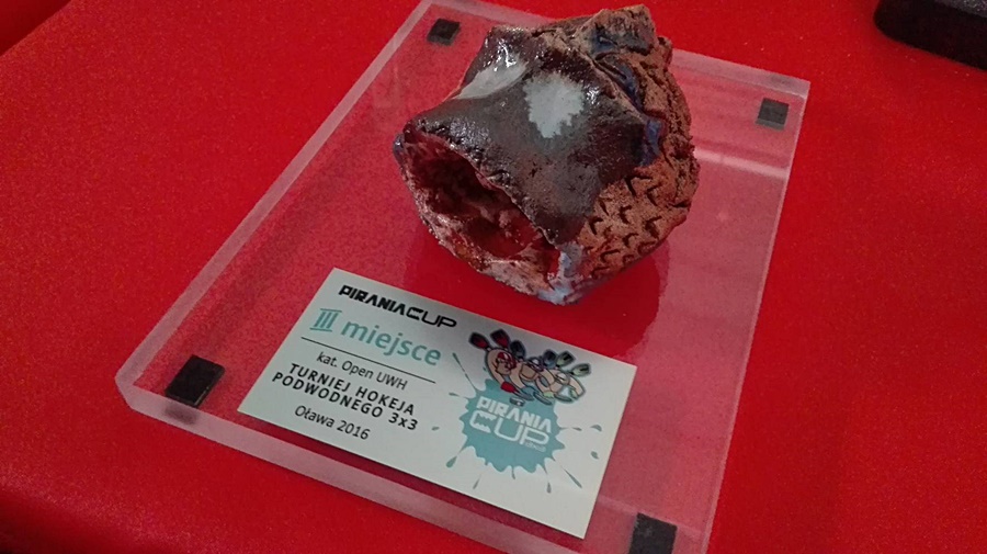 Hokej pod wodą Walenie UWH Siemianowice Śląskie