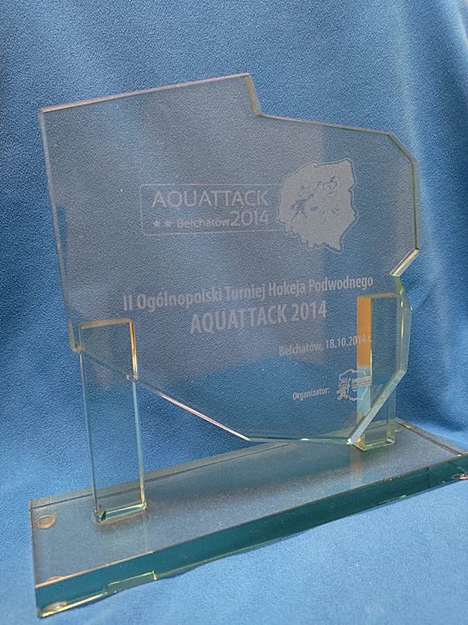 Hokej pod wodą Walenie UWH Siemianowice Śląskie